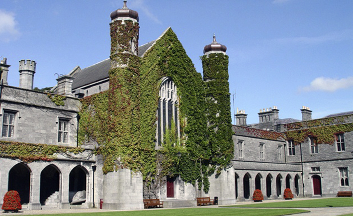 NUIG suspends job form