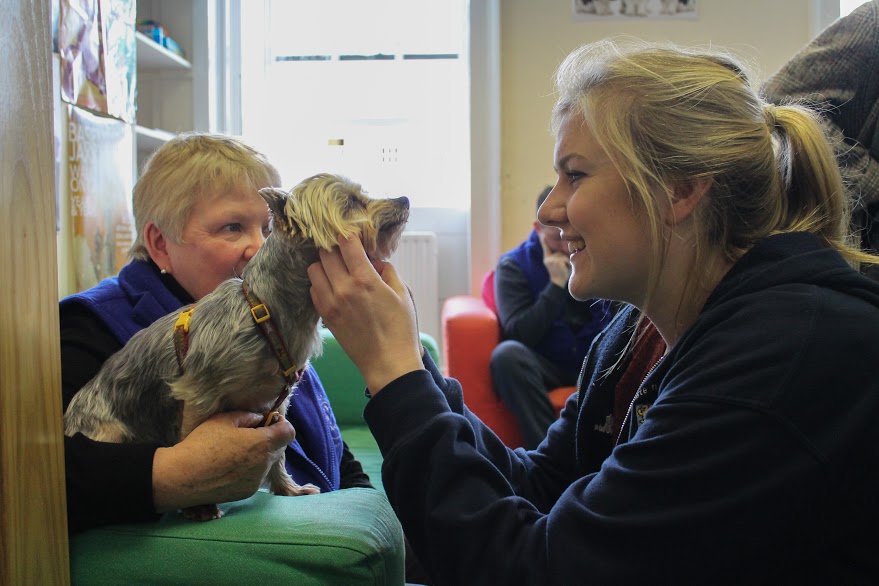 Puppies soothe student-stress in Trinity College Dublin