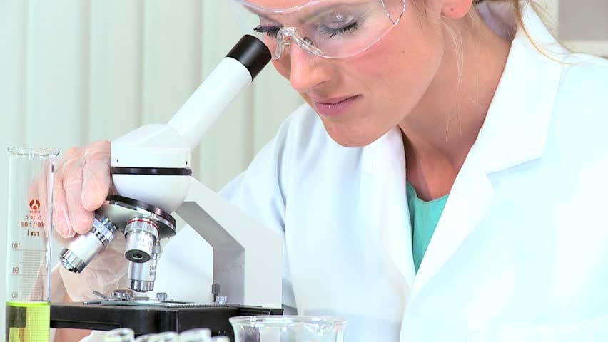 UL launches programme encouraging women to pursue STEM courses