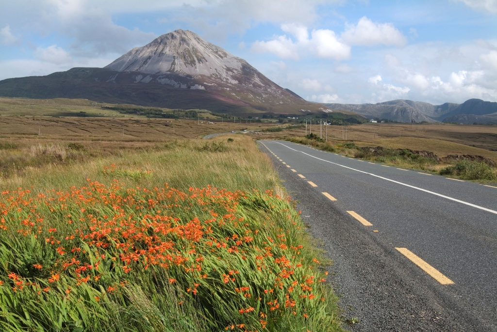 Brexit’s hard border may double travel time for Donegal-DCU journey