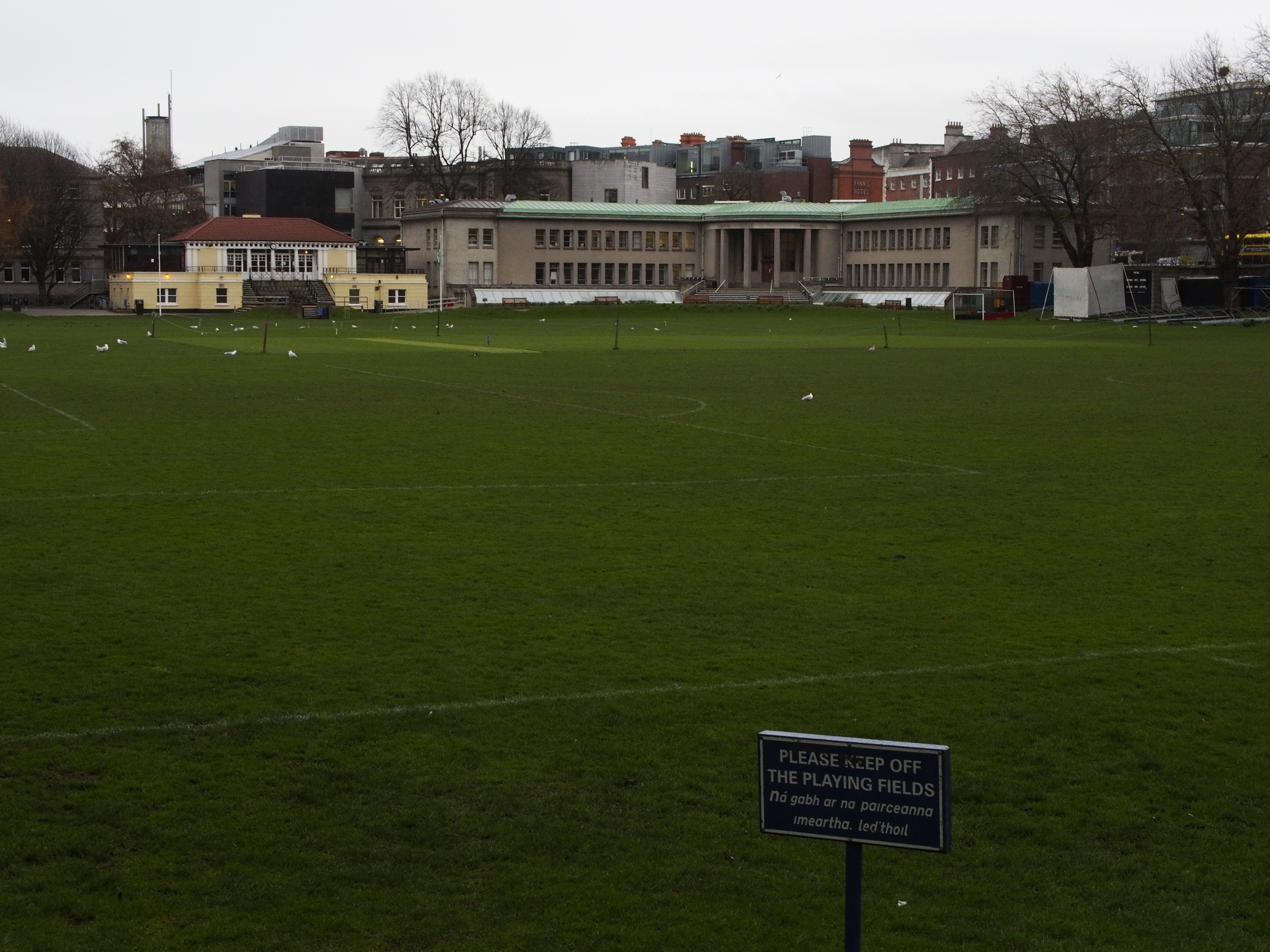 Trinity college set to acquire Iveagh Grounds sports facility