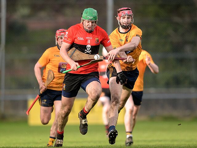 Eoin Roche hoping to replicate Freshers success with DCU Seniors