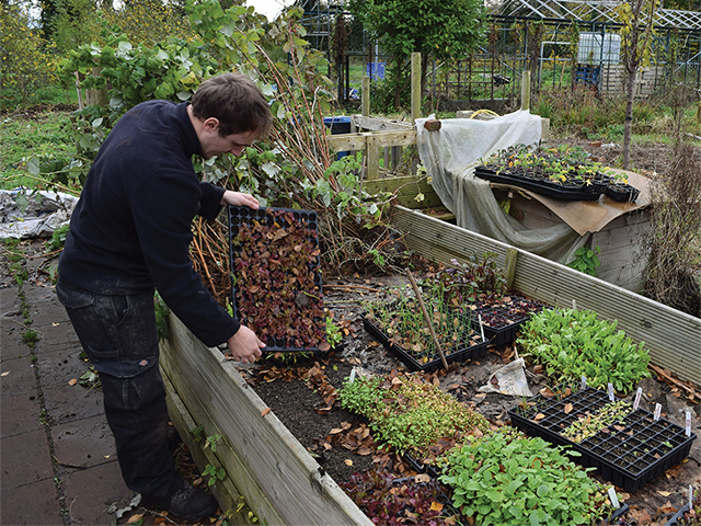 Zen and the art of garden maintenance