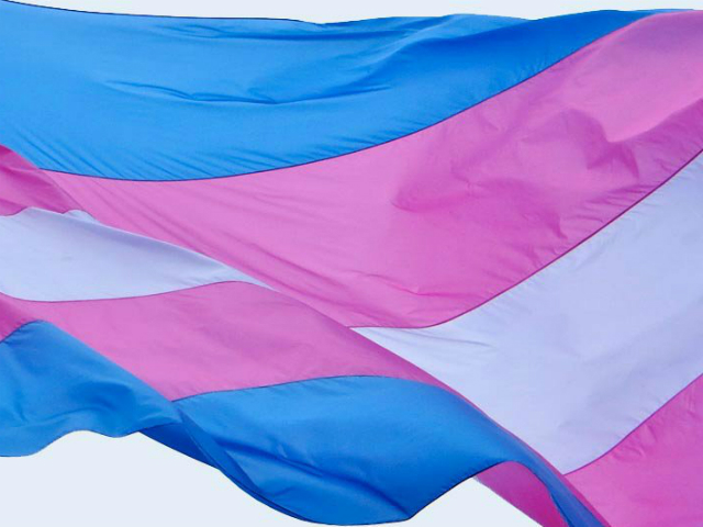 Researchers call for Transgender awareness training for working