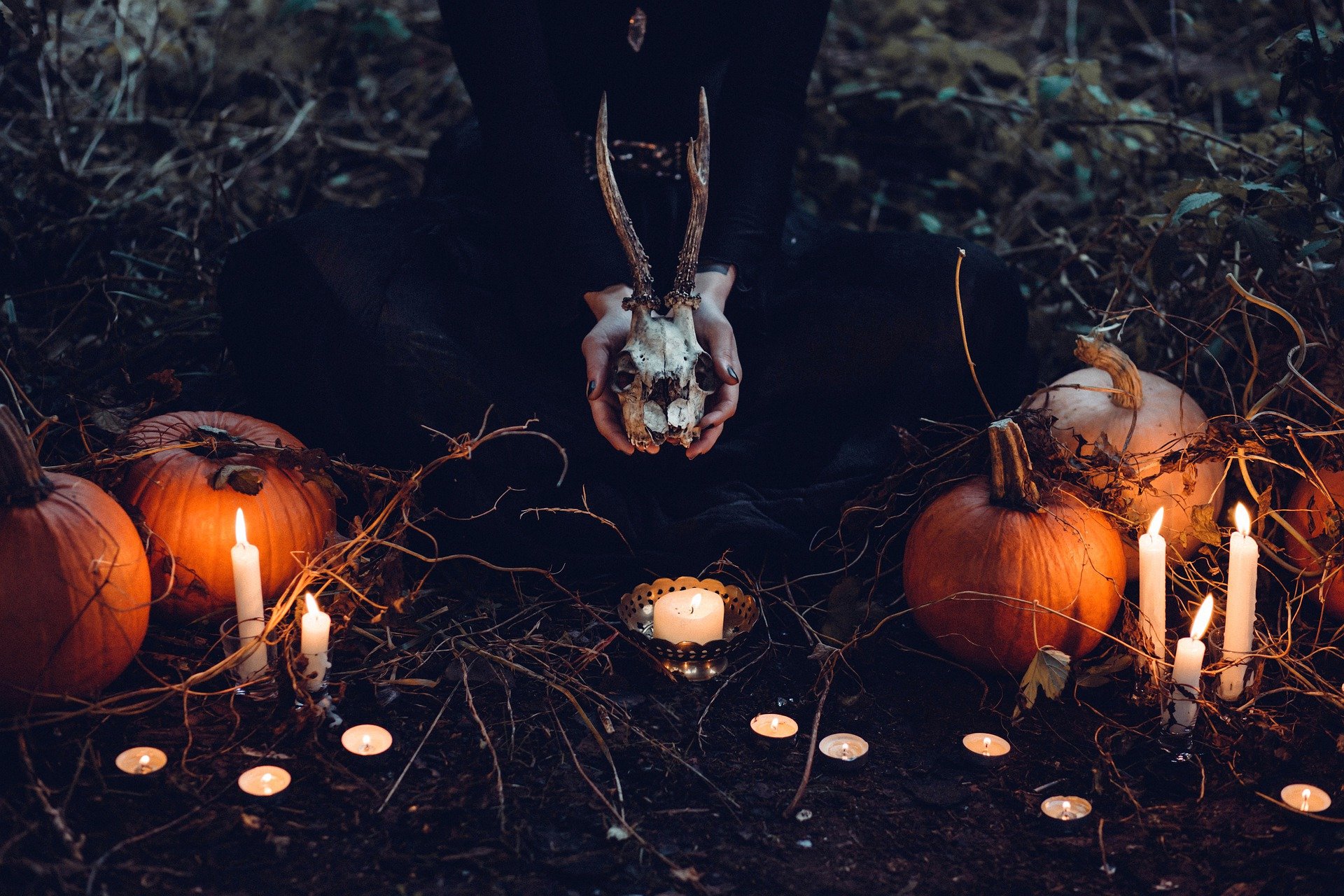 With Autumn upon us, Get in the Fall Vibe with some Spooky Classics